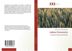 Borítókép a  Labour Economics - hoz