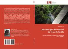 Capa do livro de Climatologie des indices de feux de forêts 