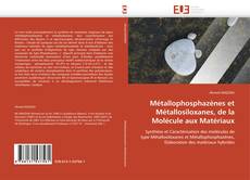 Métallophosphazènes et Métallosiloxanes, de la Molécule aux Matériaux的封面