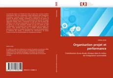 Organisation projet et performance kitap kapağı