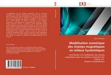 Buchcover von Modélisation numérique des champs magnétiques en milieux hystérétiques