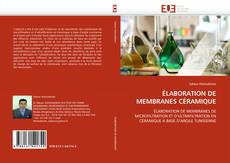 ÉLABORATION DE MEMBRANES CÉRAMIQUE kitap kapağı