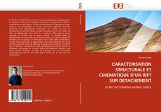 Buchcover von CARACTERISATION STRUCTURALE ET CINEMATIQUE D'UN RIFT SUR DETACHEMENT