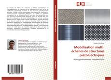 Bookcover of Modélisation multi-échelles de structures piézoélectriques