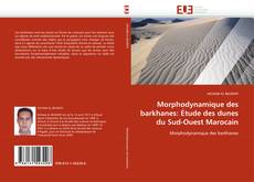 Morphodynamique des barkhanes: Étude des dunes du Sud-Ouest Marocain的封面