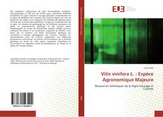 Buchcover von Vitis vinifera L. : Espèce Agronomique Majeure