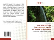 Buchcover von Macro-invertébrés benthiques du bassin versant de la Soummam