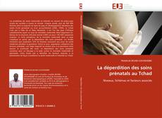 La déperdition des soins prénatals au Tchad的封面