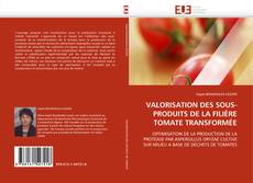 VALORISATION DES SOUS-PRODUITS DE LA FILIÈRE TOMATE TRANSFORMÉE的封面