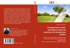 Bookcover of Changements socio-techniques dans les systèmes de production laitière