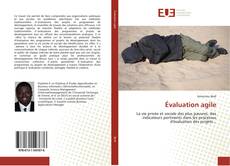 Bookcover of Évaluation agile