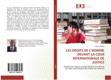 Portada del libro de LES DROITS DE L’HOMME DEVANT LA COUR INTERNATIONALE DE JUSTICE