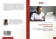 Buchcover von De l'assistance à la chosification