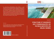 Buchcover von STRUCTURE ET DIVERSITE DES COMMUNAUTES DE PICOEUCARYOTES EN MILIEU MARIN