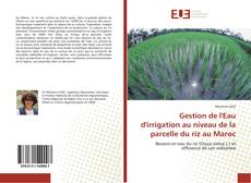 Gestion de l'Eau d'irrigation au niveau de la parcelle du riz au Maroc的封面