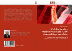 Couverture de Cellules Souches Mésenchymateuses (CSM) et remodelage vasculaire