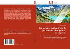 Les facteurs explicatifs de la performance des petites entreprises的封面