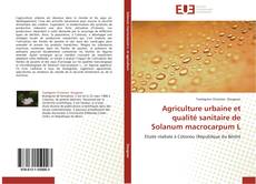 Agriculture urbaine et qualité sanitaire de Solanum macrocarpum L kitap kapağı
