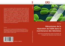 Bookcover of Mécanismes de la réparation de l''ADN dans la maintenance des télomères