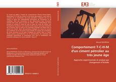 Обложка Comportement T-C-H-M d'un ciment pétrolier au très jeune âge