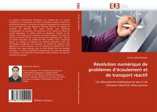 Bookcover of Résolution numérique de problèmes d'écoulement et de transport réactif