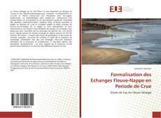 Copertina di Formalisation des Echanges Fleuve-Nappe en Periode de Crue