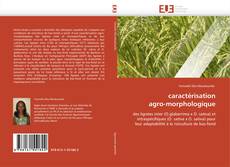 caractérisation  agro-morphologique的封面