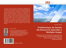 Bookcover of Problématique de Gestion des Ressources Naturelles à Multiples Usages