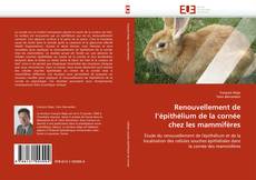 Bookcover of Renouvellement de l'épithélium de la cornée chez les mammifères
