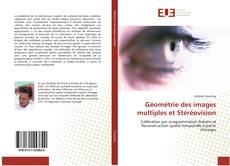 Géométrie des images multiples et Stéréovision的封面