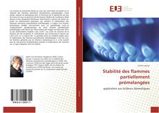 Bookcover of Stabilité des flammes partiellement prémelangées