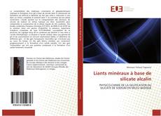 Buchcover von Liants minéraux à base de silicate alcalin