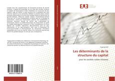 Buchcover von Les déterminants de la structure du capital