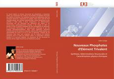 Nouveaux Phosphates d'Elément Trivalent的封面