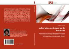 Buchcover von Adsorption du Cuivre par le Xanthane