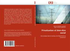 Couverture de Privatisation et bien-être social