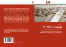 Buchcover von Aire Marine protégée