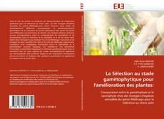 Bookcover of La Sélection au stade gamétophytique pour l'amélioration des plantes: