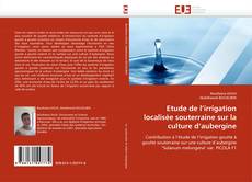 Bookcover of Etude de l'irrigation localisée souterraine sur la culture d'aubergine