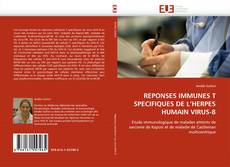 REPONSES IMMUNES T SPECIFIQUES DE L'HERPES HUMAIN VIRUS-8的封面