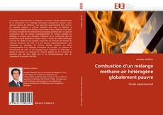 Обложка Combustion d'un mélange méthane-air hétérogène globalement pauvre