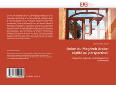 Union du Maghreb Arabe: réalité ou perspective? kitap kapağı