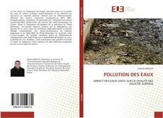 POLLUTION DES EAUX kitap kapağı