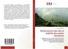 Buchcover von Renforcement des sols et stabilité des pentes forestières