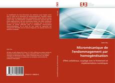 Micromécanique de l'endommagement par homogénéisation kitap kapağı