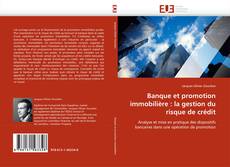 Portada del libro de Banque et promotion immobilière : la gestion du risque de crédit