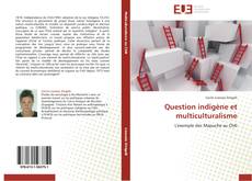 Bookcover of Question indigène et multiculturalisme