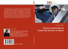 Bookcover of Facteurs Explicatifs du Travail des Enfants au Bénin
