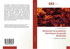 Bookcover of Résolution de problèmes thermiques de grande dimension