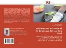 Bookcover of Résolution des équations de la dynamique de l’eau dans le sol